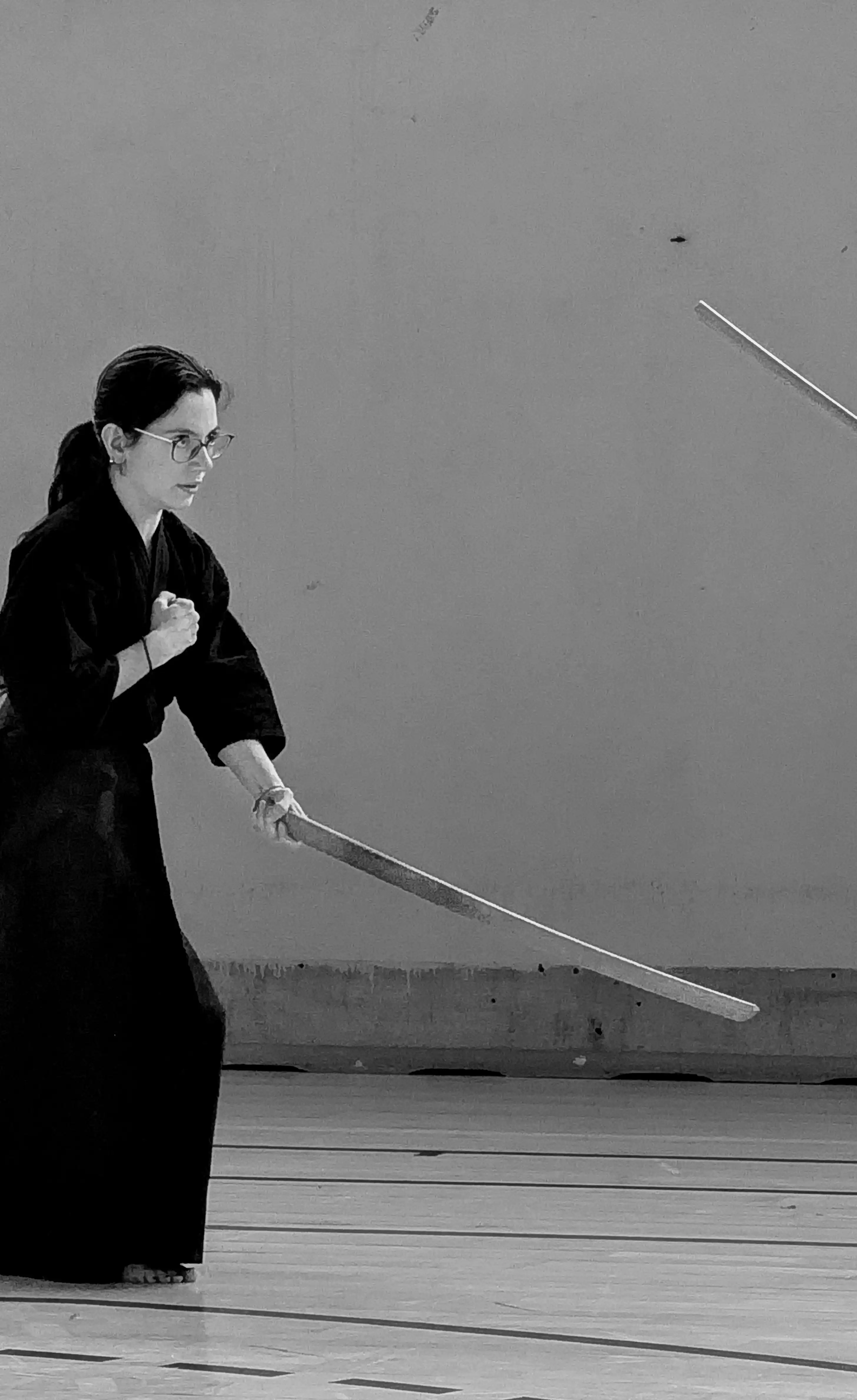 Pratique Seidokan 10