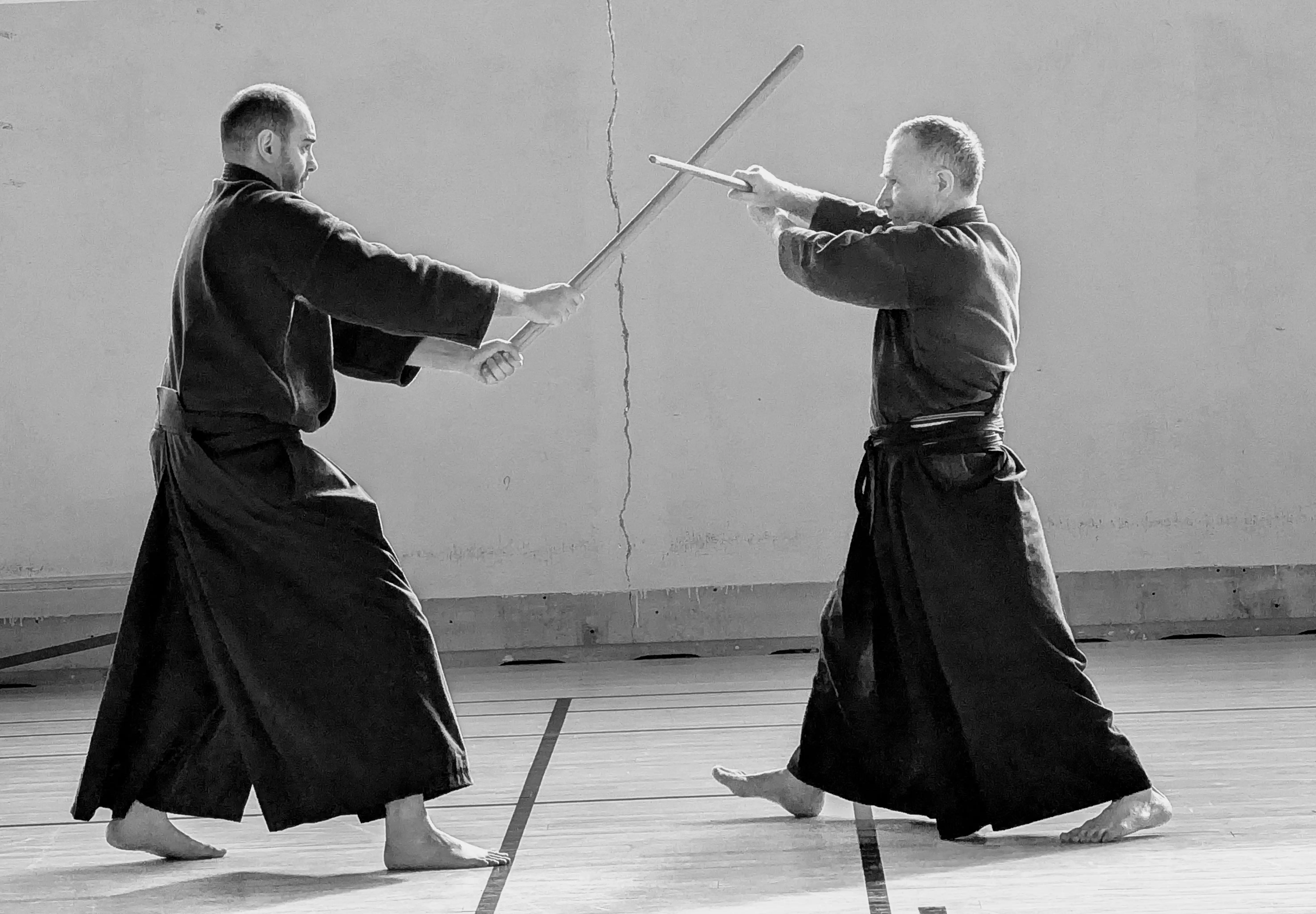 Pratique Seidokan 11