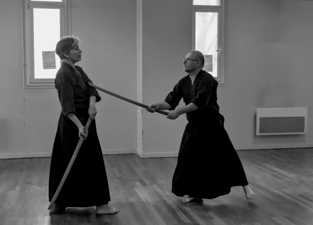 Pratique Seidokan 14